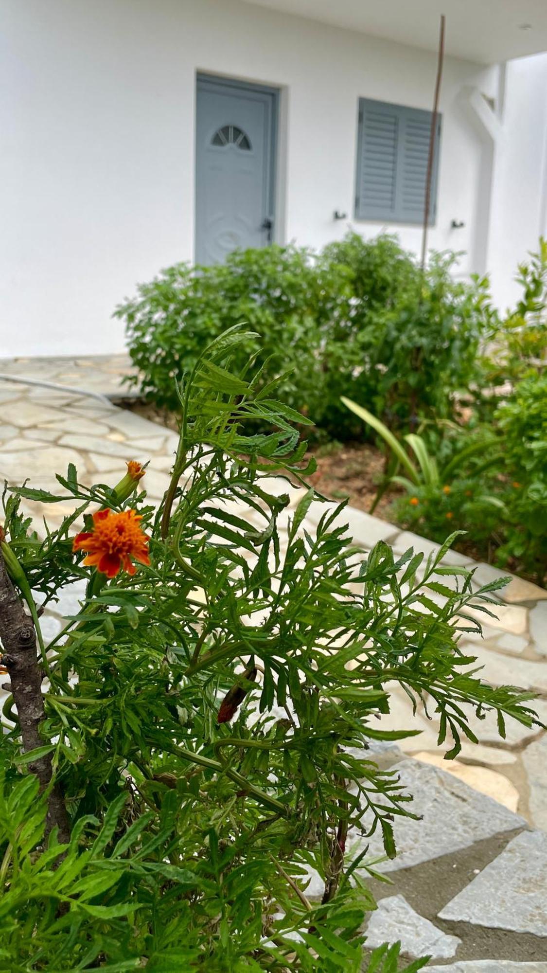 Tasos Rooms Himarë Exterior foto